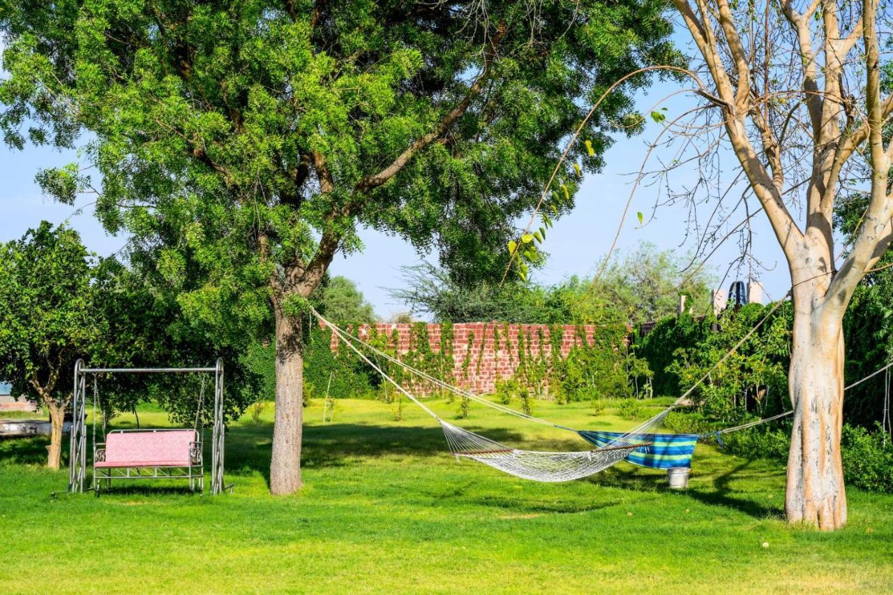 Holiday Farm Jodhpur Джодхпур Экстерьер фото